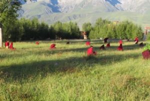monks sitting in grassy field