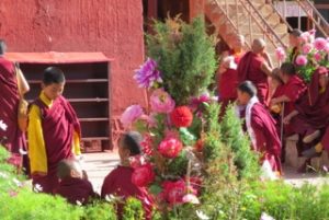 monks gathering next to flower bushes