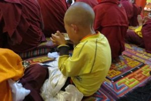 young monk from behind