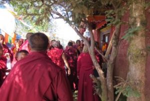 procession of monks under tree