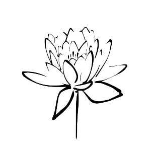line drawing of lotus flower