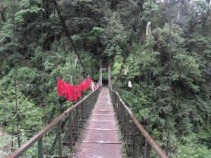 suspension bridge in forest in sikkim