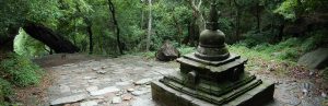 stupa in forest