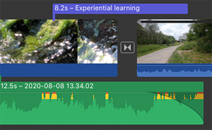 screenshot of video editing software