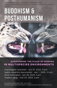 Poster for Posthumanism series, tiger facing his reflection